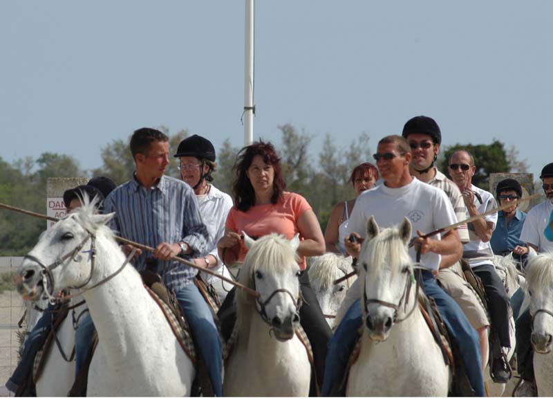 Judy & Horses 1