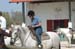 Judy & Horse 2